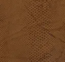 Biscotto