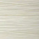Oyster Shell