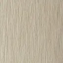Pashmina
