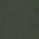 Castilla Green