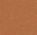 Burnt Orange