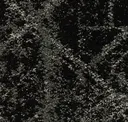 Tungsten