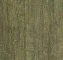 Moss