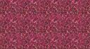 Rose Pink