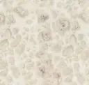 Oatmeal