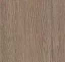 Elm