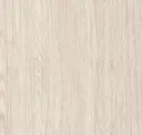 Poplar