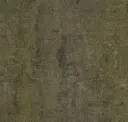 Esn81 Earthed