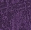Shk181-66 Boreal