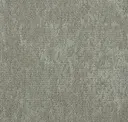 Snw144-218 Passage