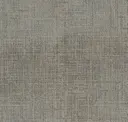 Wfr139-240 Tarragon