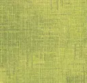 Wfr141-103 Grass