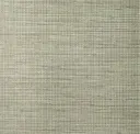 Pale Willow