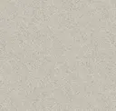 Grey Terrazzo Concrete