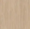 Beige Variant Oak
