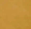 7404 Saffron