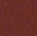 Flare 474-001