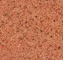 Terracotta Blonde Pip