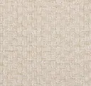 Cream Beige