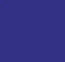 Blueberry Pie