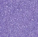 Playful Purple