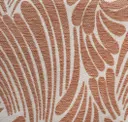 Shy Coral