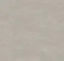Sandy