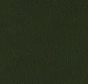 Forested