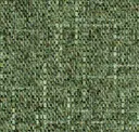 Fern Leaf