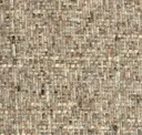 Pigeon Feathers
