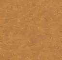 Cowboy Star