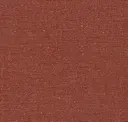 Dried Tomato
