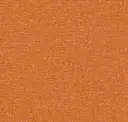 Mango Tango
