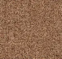 Amazon Dust