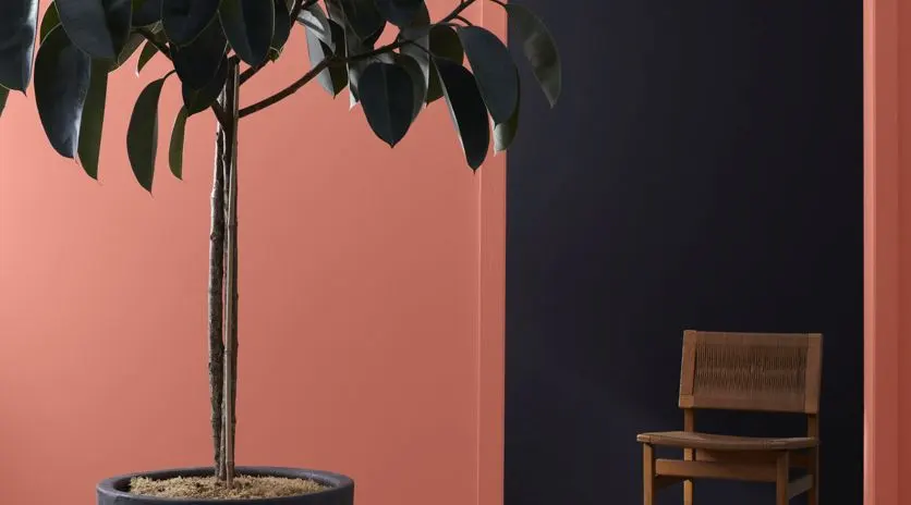 Install_01
