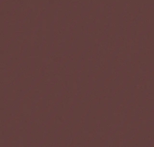 Main