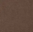 Terra