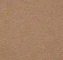 Vicuna