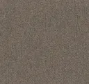 Pebble
