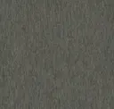 Dorsal