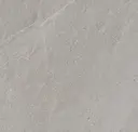 Steel