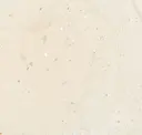Avorio