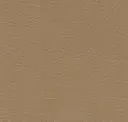 242 Beige Brown