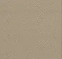 1639 Beige