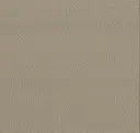 1983 Beige