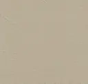 352 Beige