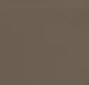 4873 Brown