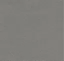 5036 Grey