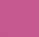 6309 Raspberry Rose