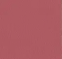 6310 Baroque Rose